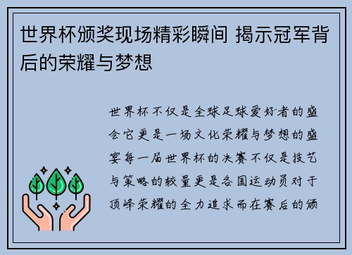 世界杯颁奖现场精彩瞬间 揭示冠军背后的荣耀与梦想